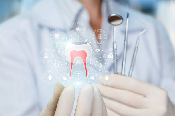 Reliable Sussex, NJ Holistic Dental Care Services Solutions